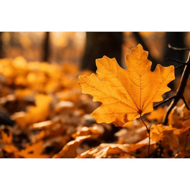 Tableau avec Feuilles Mortes